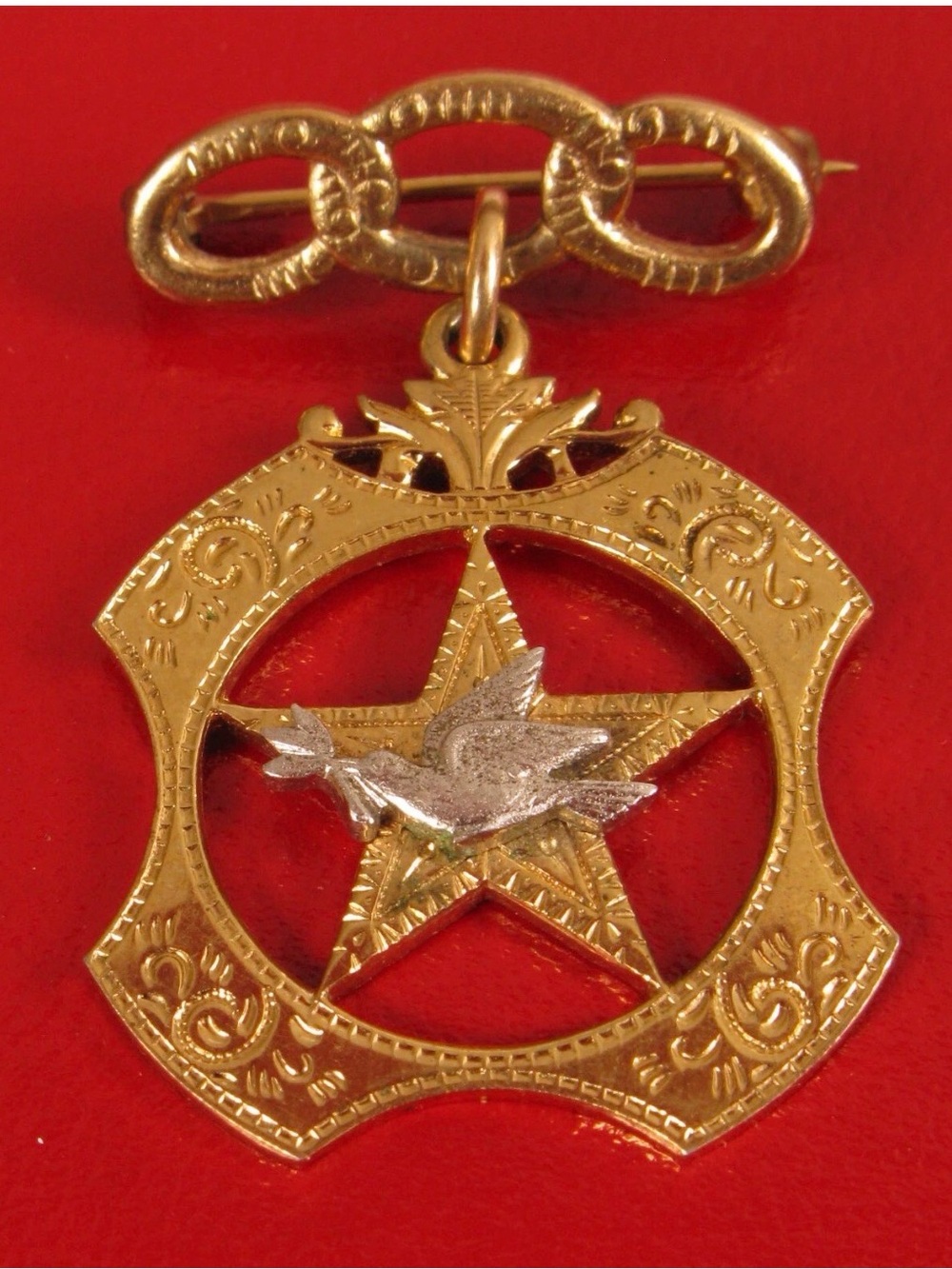 135 Odd Fellows Rebekah Assembly Fraternal Pin